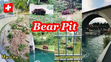 bern bear park|Iba pa.